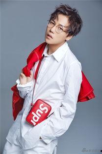 娱乐吃瓜酱刘维,娱乐吃瓜酱，揭秘娱乐圈幕后故事